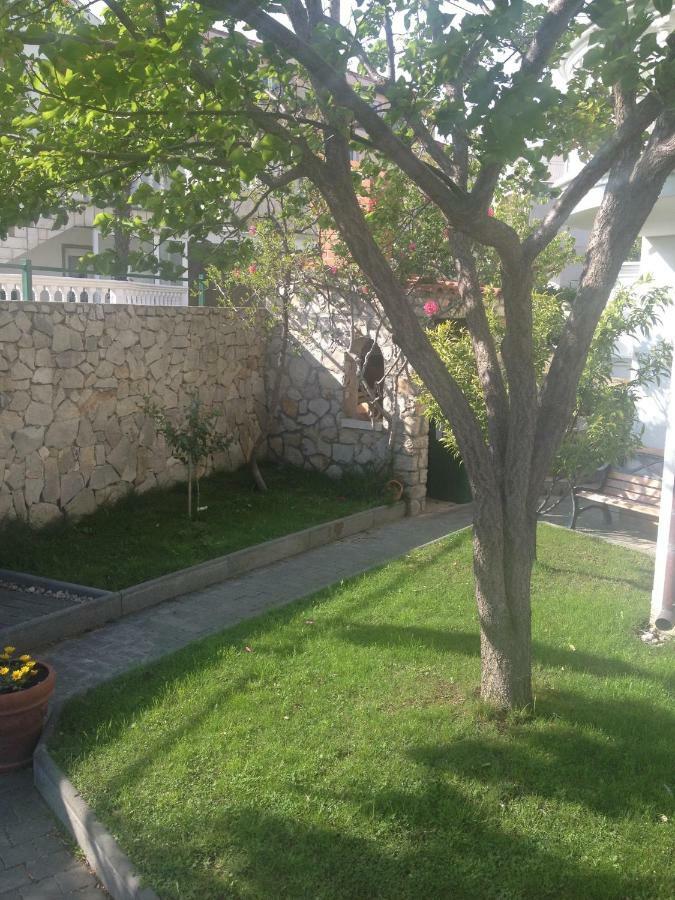 Apartmani Vukicevic ヴォディツェ エクステリア 写真